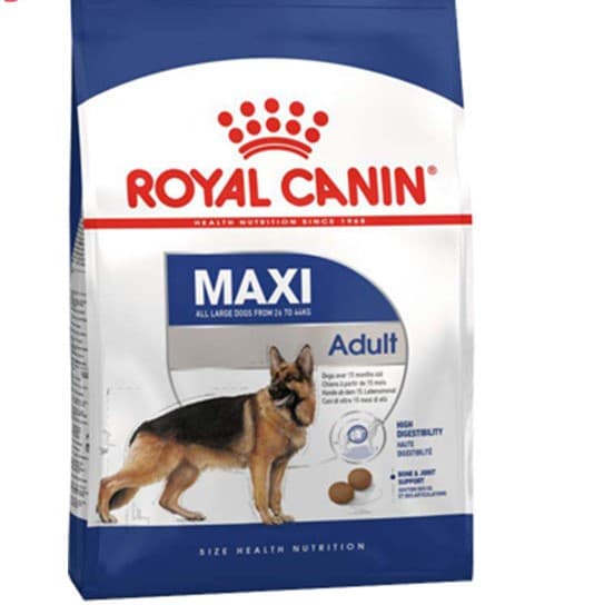 غذای خشک سگ خانگی رویال کنین maxi adult
