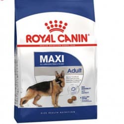 غذای خشک سگ خانگی رویال کنین maxi adult
