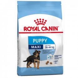 غذای خشک توله سگ رویال کنین مدل Maxi Puppy